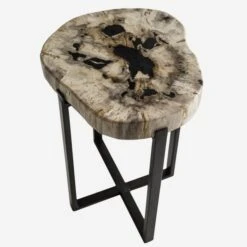 Peter Disk Lamp Table -Home Furni and Decor Sale 235819 petrified wood lamp table top detail st0199