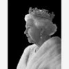 HM Queen Elizabeth II In Profile Photographic Artwork 1 HM Queen Elizabeth II In Profile Photographic Artwork -Home Furni and Decor Sale 315041 hm queen elizabeth ii in profile