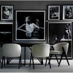 Ciri Dining Chair -Home Furni and Decor Sale 322245 cirichairemersondiningiconicphoto